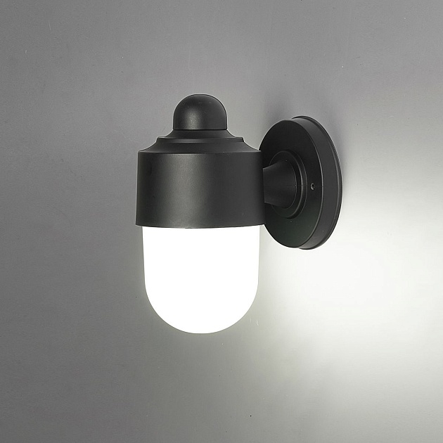 Уличный настенный светильник Escada 30008W/01 Фото № 3