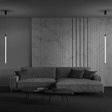 Подвесной светильник Maytoni Ray P022PL-L20B3K 4