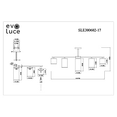 Потолочная люстра Evoluce Essenza SLE300602-17 1