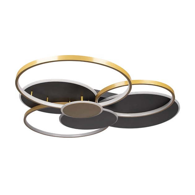 Потолочный светодиодный светильник Loft IT Megan 10163 Black изображение Потолочный светодиодный светильник Loft IT Megan 10163 Black Фото №