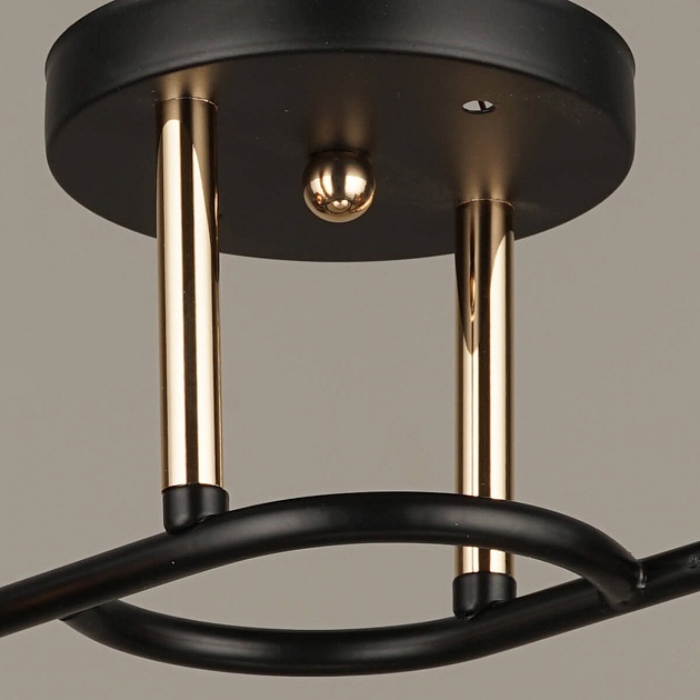 Потолочный светильник Reluce 03615-0.3-02 изображение 2 Потолочный светильник Reluce 03615-0.3-02 Фото № 2