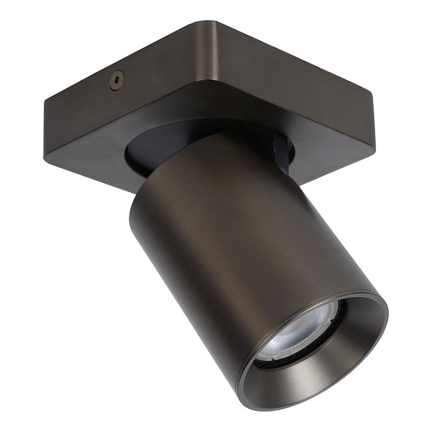 Спот Lucide Nigel 09929/05/16 Фото № 