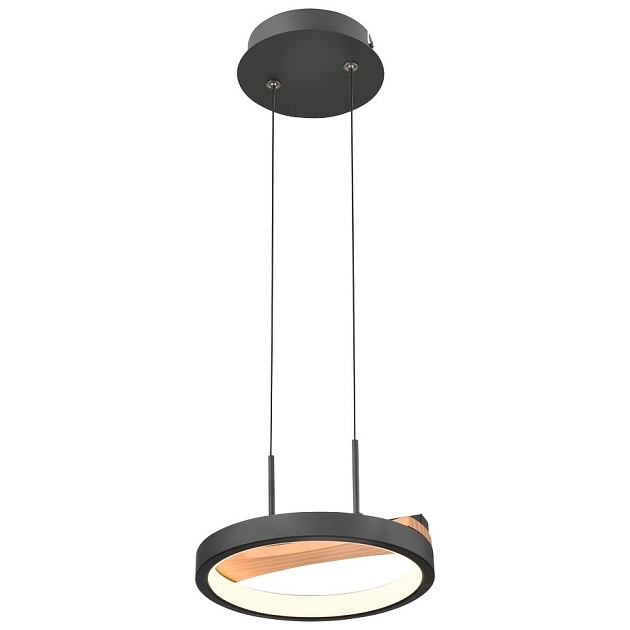 Подвесной светодиодный светильник Velante 450-023-01 Фото № 