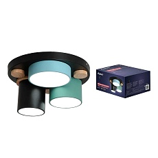 Потолочная люстра Ritter SCANDIA 52074 0