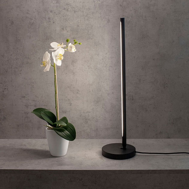 Настольная лампа Mantra Torch 6738 Фото № 4