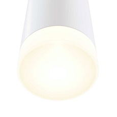 Настенный светильник Maytoni Dafne C027WL-L10W 5