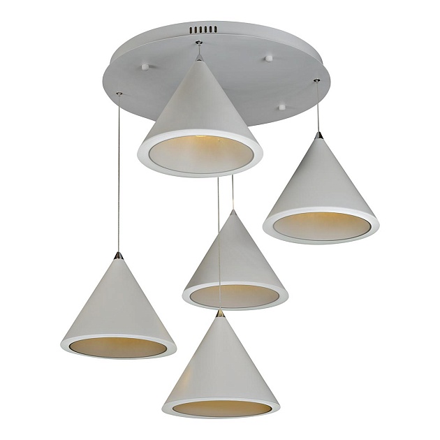 Подвесная светодиодная люстра iLedex WL8858-5 WH изображение Подвесная светодиодная люстра iLedex WL8858-5 WH Фото №