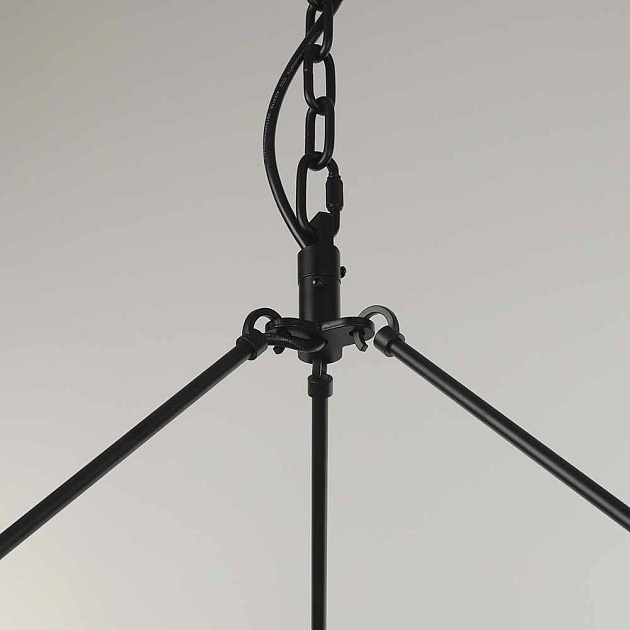 Подвесная люстра Citilux Смитсон CL470230 Фото № 3