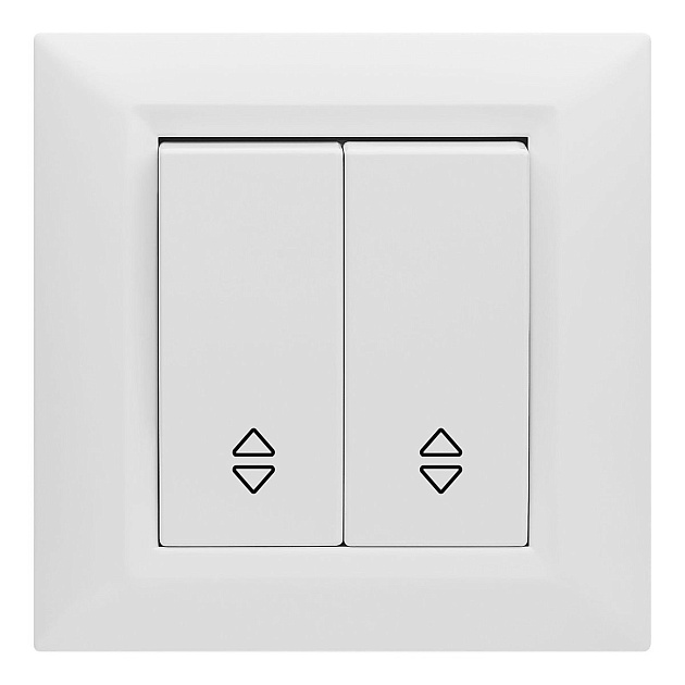 Выключатель двухклавишный проходной Vesta-Electric Roma белый FVK010103BEL Фото № 