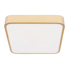 Потолочный светодиодный светильник Loft IT Flims 10228/C 2