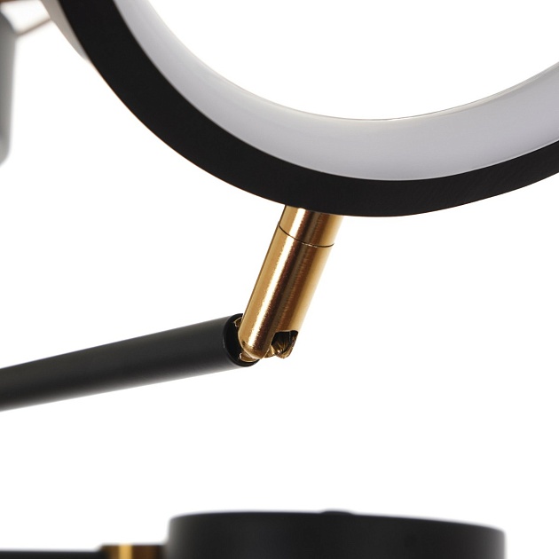 Потолочная светодиодная люстра MyFar Mandy MR1230-6CL изображение 5 Потолочная светодиодная люстра MyFar Mandy MR1230-6CL Фото № 5