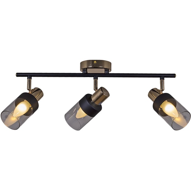 Спот Reluce 05903-0.8-03 BK+FGD Фото № 2