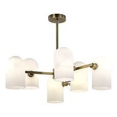 Подвесная люстра Evoluce Nobilia SLE1047-302-06 1