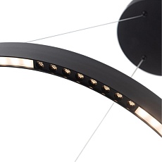 Подвесной светодиодный светильник Arte Lamp Lao A2189LM-1BK 2