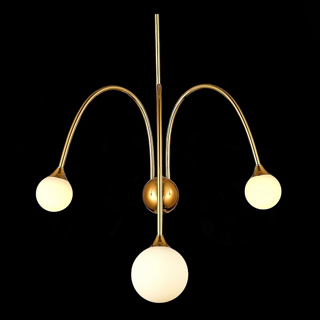 Настенный светильник ST Luce Vive SL1187.201.03 Фото № 4