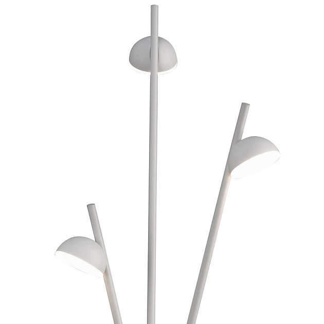 Настольная лампа Mantra Adn 6267 Фото № 4