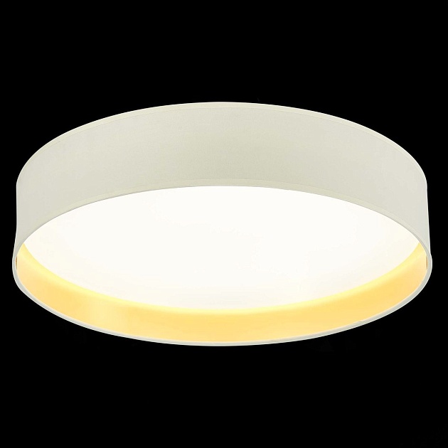 Потолочный светодиодный светильник Evoluce Brescia SLE300552-01 Фото № 3