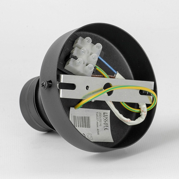 Бра Lussole LOFT Carter LSP-8862 Фото № 5