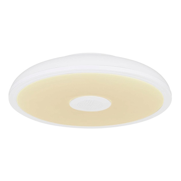 Потолочный светодиодный светильник Globo Raffy 41366W Фото № 