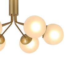 Потолочная люстра F-Promo Pax 2631-6U 3