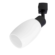 Трековый светильник Arte Lamp Miia A3055PL-1BK