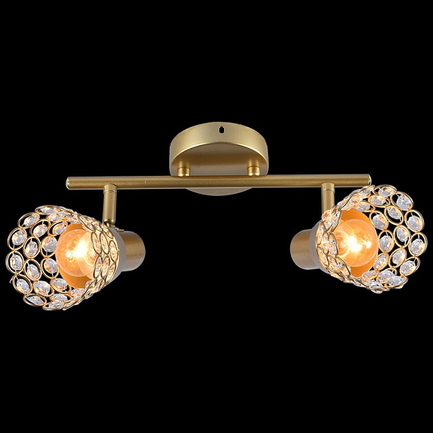 Спот Reluce 05954-0.8-02 GOLD Фото № 