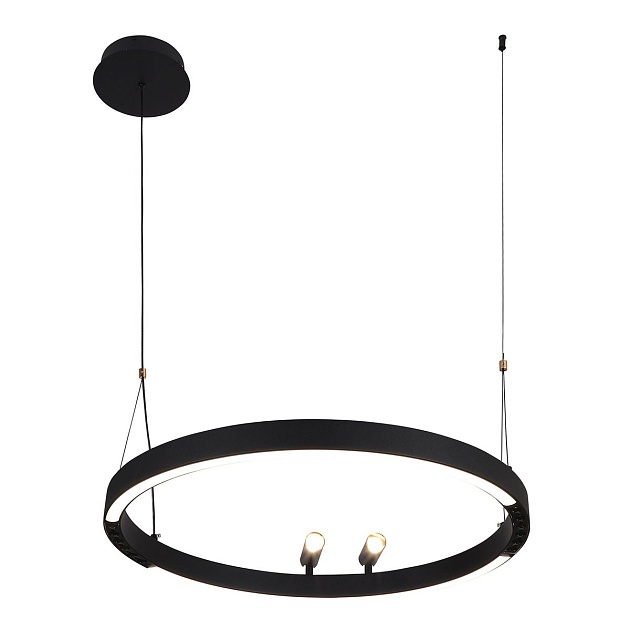 Подвесная светодиодная люстра F-Promo Slinga 4474-1P изображение Подвесная светодиодная люстра F-Promo Slinga 4474-1P Фото №