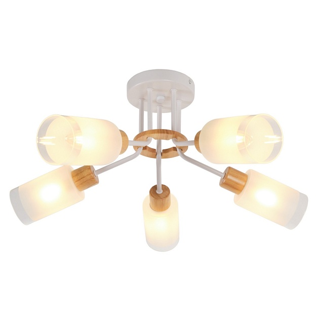 Потолочная люстра MyFar Linda MR1860-5C Фото № 