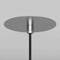 Подвесной светильник Maytoni Nevill P318-PL-01-N 2