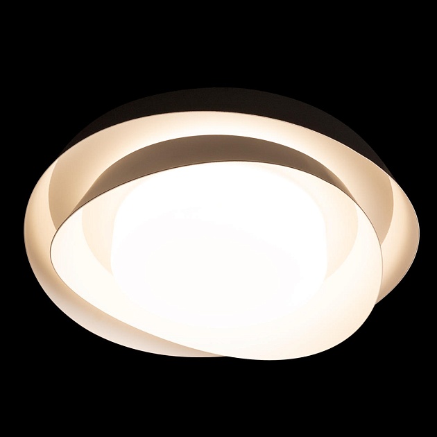 Потолочный светильник Loft IT Petale 10256 Black изображение 4 Потолочный светильник Loft IT Petale 10256 Black Фото № 4