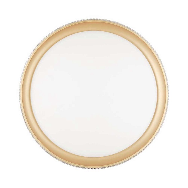 Настенно-потолочный светодиодный светильник Sonex Pale Shiny 3054/EL Фото № 4