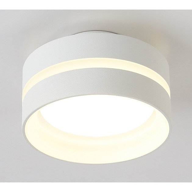 Потолочный светильник Ambrella light TN5419 Фото № 3