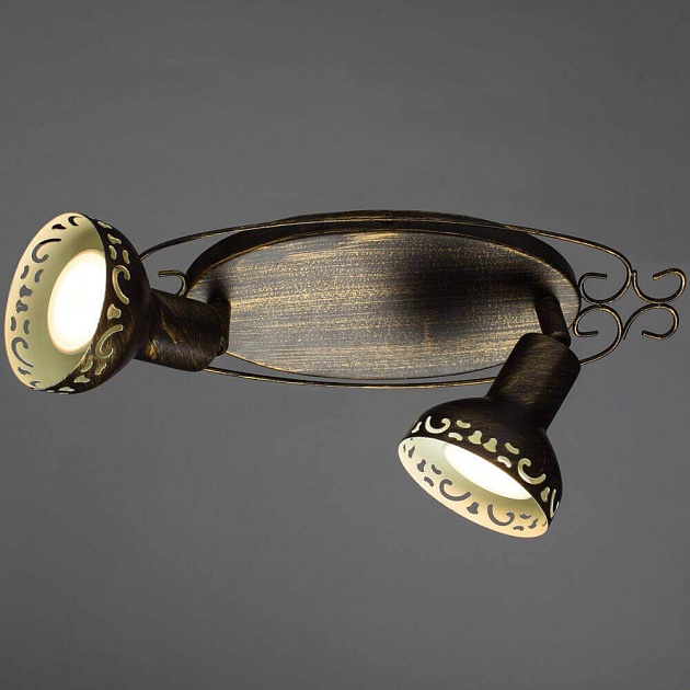 Спот Arte Lamp Focus A5219AP-2BR Фото № 2