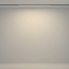 Трековый светильник Maytoni Technical TR180-1-12WTW-B 4