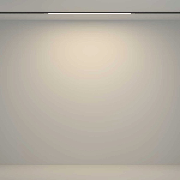 Трековый светильник Maytoni Technical TR180-1-12WTW-B Фото № 5