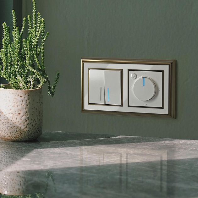 Выключатель двухклавишный с подсветкой Werkel белый W1120101 4690389155208 изображение 5 Выключатель двухклавишный с подсветкой Werkel белый W1120101 4690389155208 Фото № 5