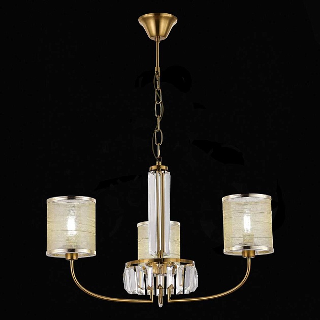 Подвесная люстра Evoluce Ellisse SLE1119-303-03 изображение 4 Подвесная люстра Evoluce Ellisse SLE1119-303-03 Фото № 4