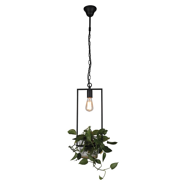 Подвесной светильник Favourite Situla 1975-1P Фото № 