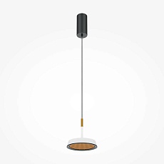 Подвесной светодиодный светильник Maytoni El MOD041PL-L15WG3K 5