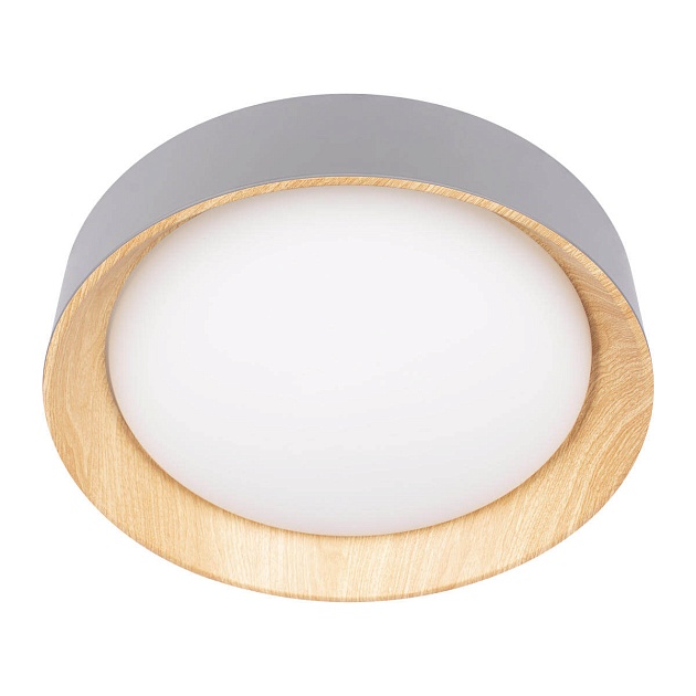 Потолочный светодиодный светильник Loft IT Coin 10202 Grey изображение 2 Потолочный светодиодный светильник Loft IT Coin 10202 Grey Фото № 2