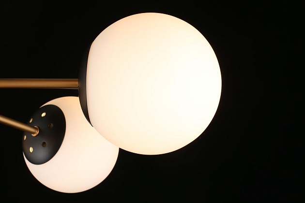 Потолочная люстра Aployt Ewka APL.906.17.07 Фото № 6