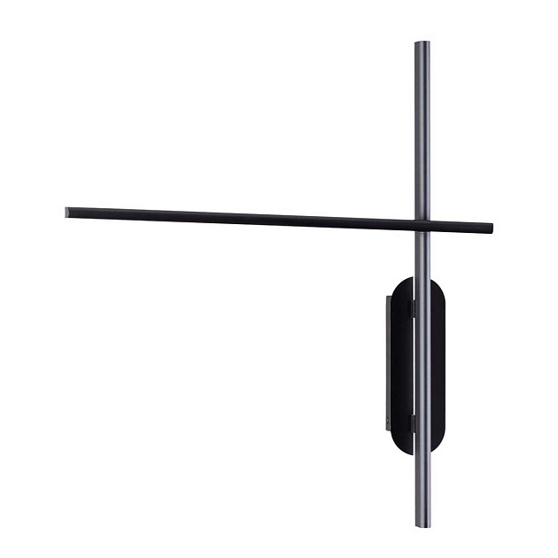 Настенный светильник Odeon Light RUDY 3890/20WLP изображение Настенный светильник Odeon Light RUDY 3890/20WLP Фото №