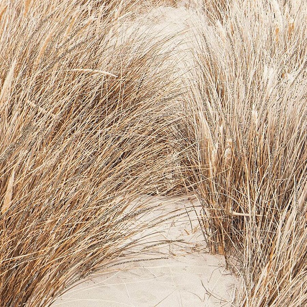 Панно Bergenson Bjorn Plant BB0000609 Фото № 2