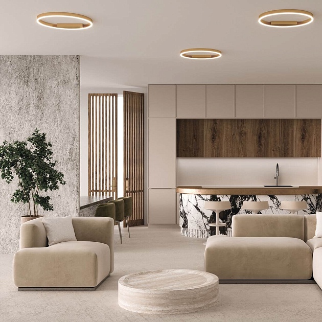 Потолочный светодиодный светильник Maytoni Rim MOD058CL-L50BK изображение 2 Потолочный светодиодный светильник Maytoni Rim MOD058CL-L50BK Фото № 2