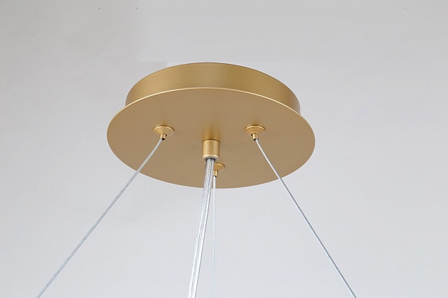 Подвесная люстра Favourite Ginkoa 4080-10P Фото № 8