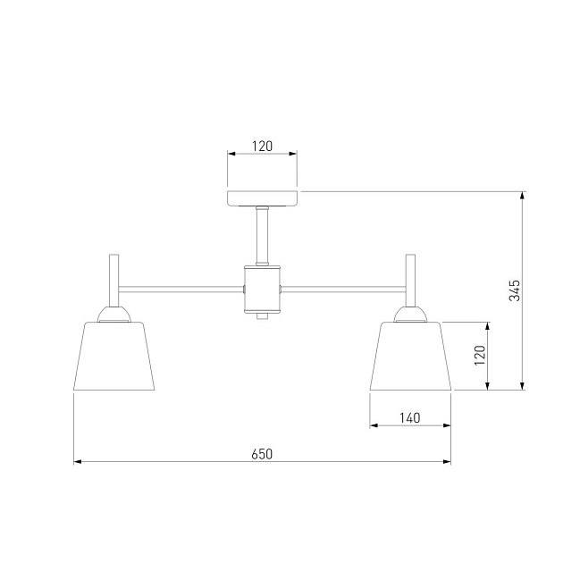 Потолочная люстра Eurosvet 70085/5 белый Фото № 2