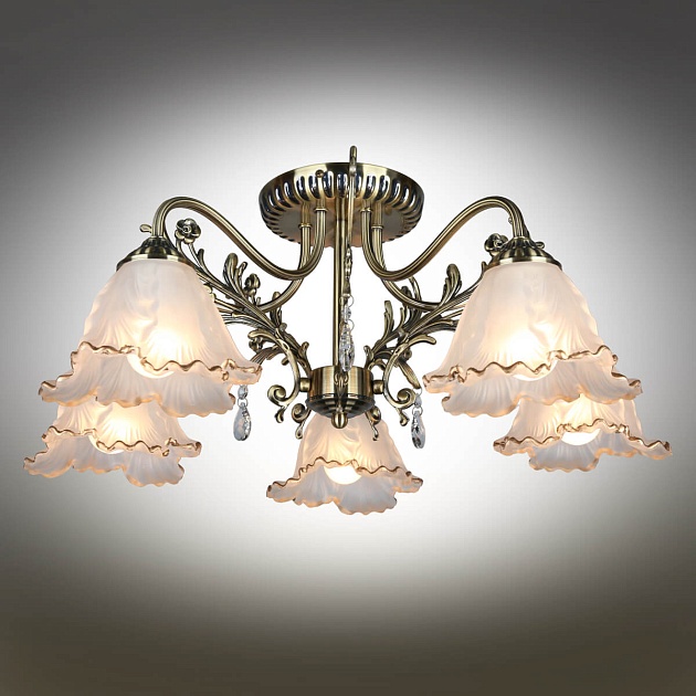 Потолочная люстра Omnilux Petrara OML-54807-05 Фото № 2