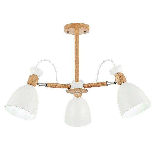 Потолочная люстра Evoluce Balcamo SLE103802-03 изображение Потолочная люстра Evoluce Balcamo SLE103802-03 Фото №