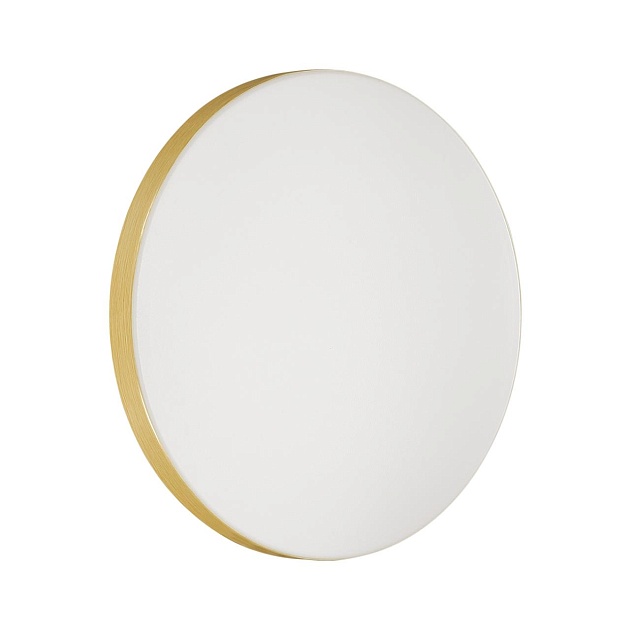 Настенно-потолочный светодиодный светильник Sonex Mini Smalli 3066/AL Фото № 