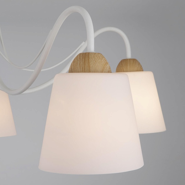 Потолочная люстра Eurosvet 70062/5 белый Фото № 3